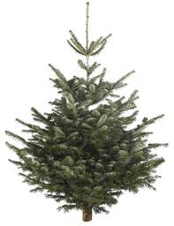 Artificial Christmas tree with green foliage and a symmetrical shape.