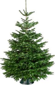 A full green artificial Christmas tree in a stand.