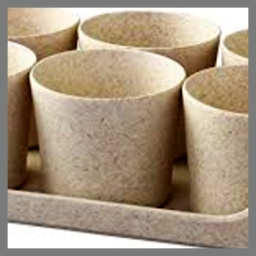 Set van natuurlijke papieren potten op een tray, gebruikt voor het planten en decoreren tijdens de kerstactiviteit.