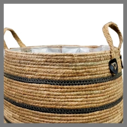 grote_mand_planten_34_cm_2